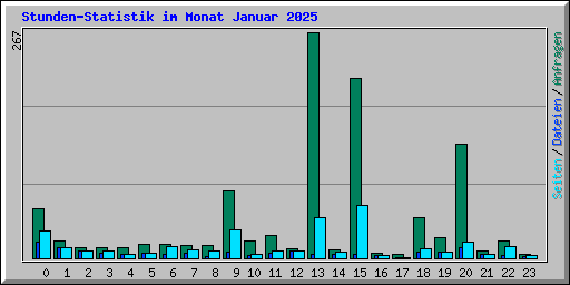 Stunden-Statistik im Monat Januar 2025